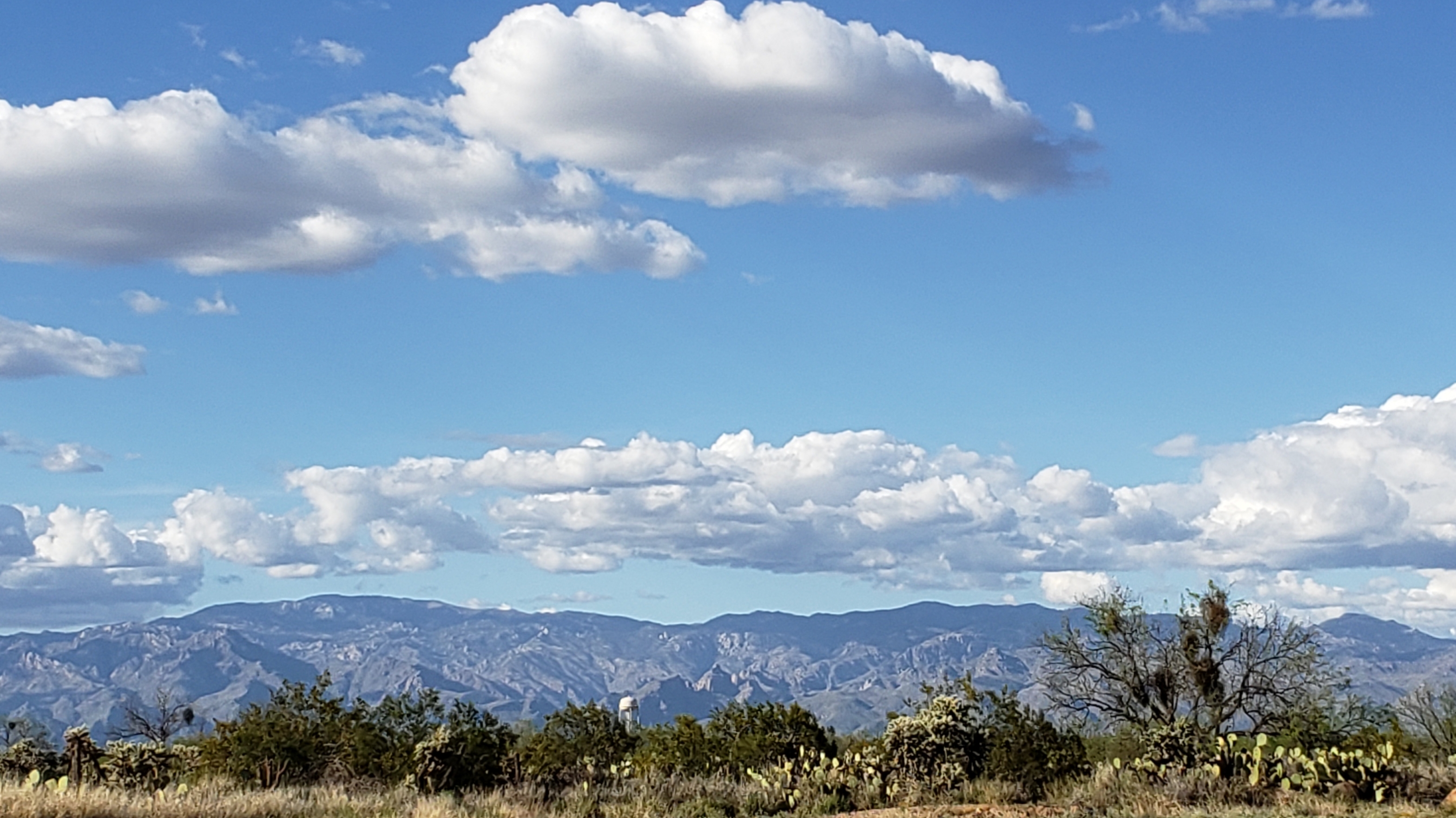 Santa Catalina Mountains