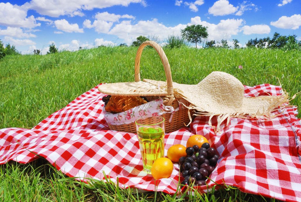 Pining Picnic